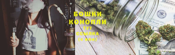дживик Наволоки