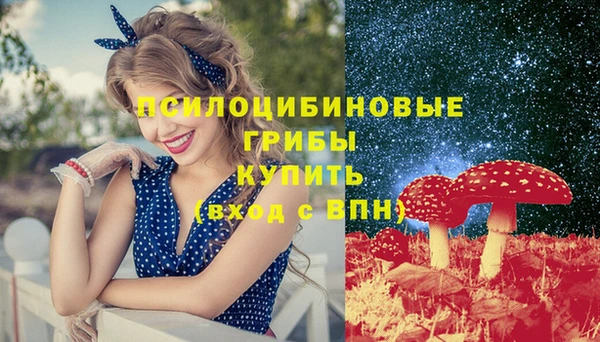 дживик Наволоки